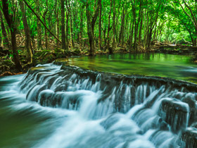 attraction_image
